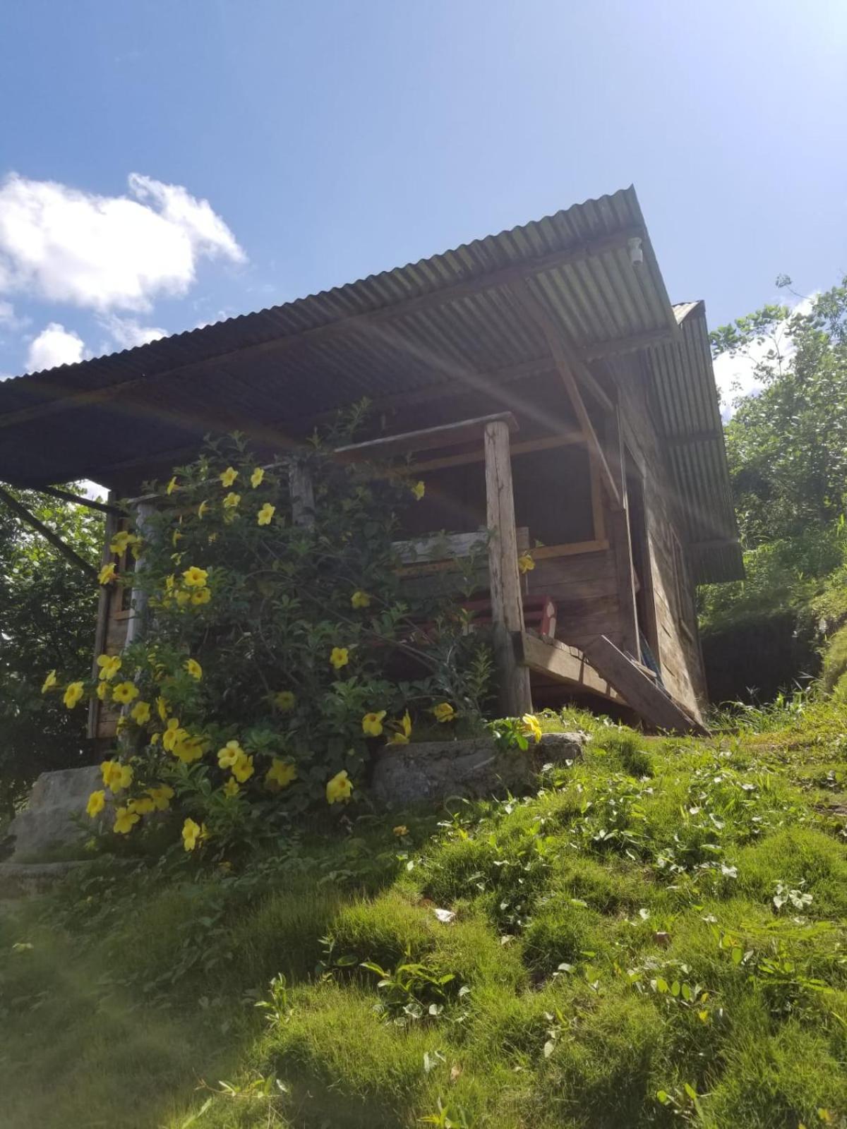 Ch'I Bocol Community Hostel Lanquín Екстериор снимка